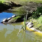 Angerlgut Sankt Koloman
