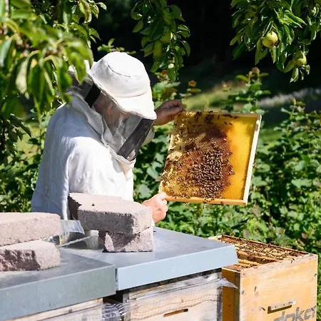 Angerlgut * Sankt Koloman