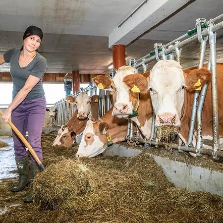 Angerlgut Sankt Koloman