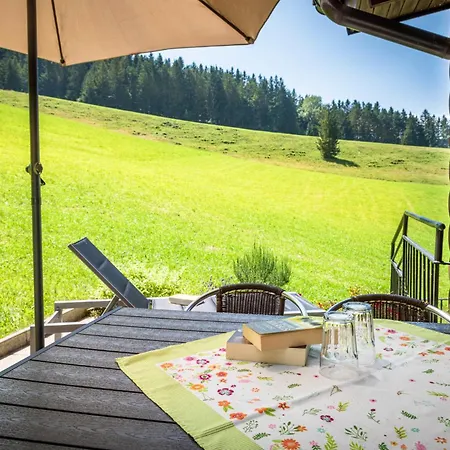 Angerlgut Apartment Sankt Koloman