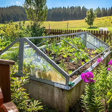 Angerlgut * Sankt Koloman