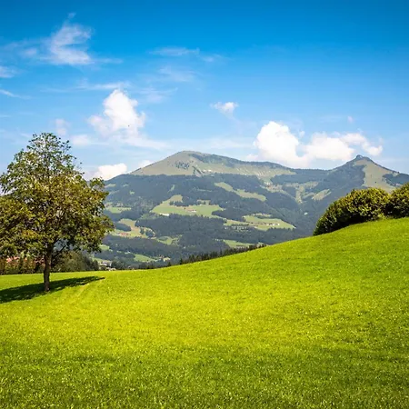 Angerlgut Apartmán *