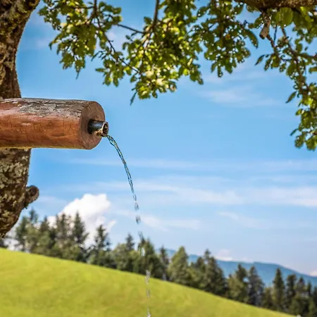 Angerlgut Lägenhet Sankt Koloman