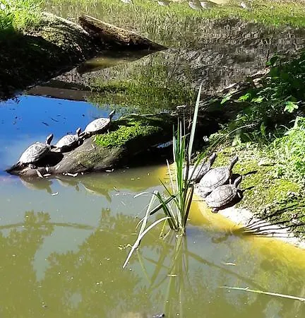 Angerlgut Sankt Koloman